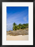 Framed Anse Bambous Beach on Fregate Island, Seychelles