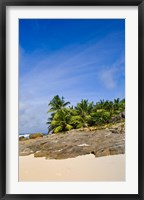 Framed Anse Bambous Beach on Fregate Island, Seychelles