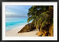 Framed Ansi Victorin Beach, Seychelles