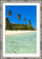 Framed Beach, Desroches Resort, Desroches Island, Seychelles