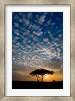 Framed Africa. Tanzania. Sunrise in Serengeti NP.