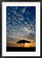 Framed Africa. Tanzania. Sunrise in Serengeti NP.