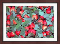 Framed China, Chongqing, Strawberries in fruit market