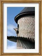 Framed Fairview winery, goat tower, Paarl, South Africa