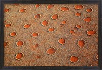 Framed Fairy circles dotting the landscape of the Namib-Rand Nature Reserve, Sossusvlei, Nambia