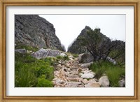 Framed Hiking Up Table Mountain, Cape Town, Cape Peninsula, South Africa