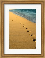 Framed Footprints in the Sand, Mauritius, Africa