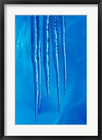 Framed Antarctica, Icicles hanging from the roof of a glacial ice cave.