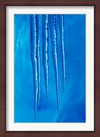Framed Antarctica, Icicles hanging from the roof of a glacial ice cave.