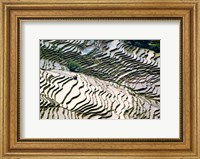 Framed Flooded Bada Rice Terraces, Yuanyang County, Yunnan Province, China