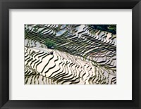 Framed Flooded Bada Rice Terraces, Yuanyang County, Yunnan Province, China