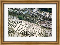 Framed Flooded Bada Rice Terraces, Yuanyang County, Yunnan Province, China