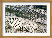 Framed Flooded Bada Rice Terraces, Yuanyang County, Yunnan Province, China