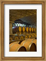 Framed Barrels in cellar at Chateau Changyu-Castel, Shandong Province, China