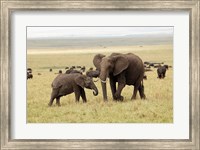 Framed Herd of African elephants, Maasai Mara, Kenya