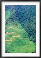 Framed Abutting Agricultural Development, Uganda