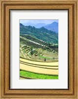 Framed China, Yunnan, Yuanyang Co, Rice Terraces, Mount Ailo