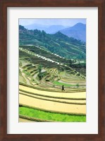 Framed China, Yunnan, Yuanyang Co, Rice Terraces, Mount Ailo