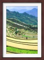 Framed China, Yunnan, Yuanyang Co, Rice Terraces, Mount Ailo