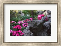 Framed Flowers and Rocks in Traditional Chinese Garden, China