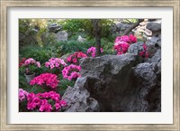 Framed Flowers and Rocks in Traditional Chinese Garden, China