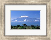 Framed Africa, Tanzania, Mt Kilimanjaro, landscape and zebra