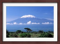 Framed Africa, Tanzania, Mt Kilimanjaro, landscape and zebra