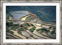 Framed Flooded Rice Terraces of Honghe, China