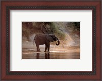 Framed Elephant at Water Hole, South Africa