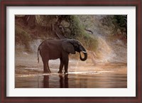 Framed Elephant at Water Hole, South Africa