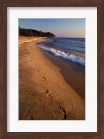 Framed Africa, Tanzaniz, Lake Tanganika. Beach footprints