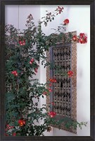 Framed Courtyard with Zellij (Mosaic Tilework), Marrakech, Morocco