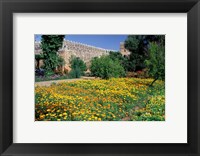 Framed Gardens and Crenellated Walls of Kasbah des Oudaias, Morocco