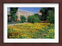 Framed Gardens and Crenellated Walls of Kasbah des Oudaias, Morocco