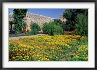 Framed Gardens and Crenellated Walls of Kasbah des Oudaias, Morocco