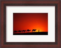 Framed Camel Caravan at Sunrise, Silk Road, China