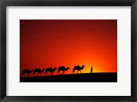 Framed Camel Caravan at Sunrise, Silk Road, China