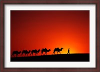 Framed Camel Caravan at Sunrise, Silk Road, China