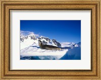 Framed Antarctica, Boothe Island, Leopard Seal, iceberg