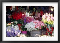 Framed Bunch of Flowers at the Market, Madagascar