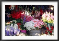 Framed Bunch of Flowers at the Market, Madagascar