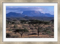 Framed Acacia and Distant Massif North of Mt Kenya, Samburu National Reserve, Kenya