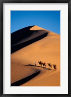 Framed Camel Caravan with Sand Dune, Silk Road, China