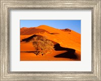 Framed Elim Dune Overcomes, Sesriem, Namib Naukluft Park, Namibia