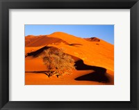 Framed Elim Dune Overcomes, Sesriem, Namib Naukluft Park, Namibia