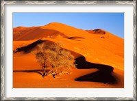 Framed Elim Dune Overcomes, Sesriem, Namib Naukluft Park, Namibia
