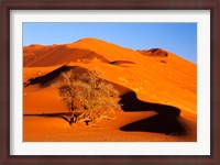 Framed Elim Dune Overcomes, Sesriem, Namib Naukluft Park, Namibia