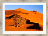 Framed Elim Dune Overcomes, Sesriem, Namib Naukluft Park, Namibia