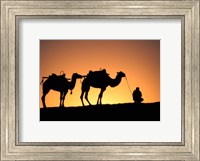Framed Camel Caravan Silhouette at Dawn, Silk Road, China