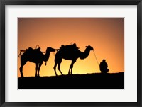 Framed Camel Caravan Silhouette at Dawn, Silk Road, China